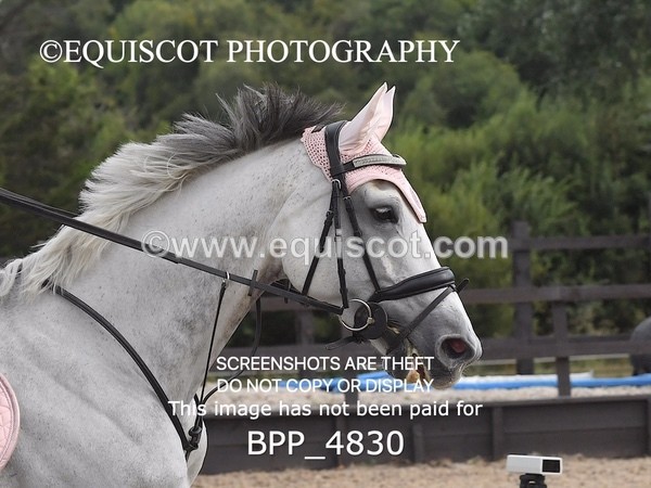 BPP_4830 - CLASS 2 Club/ Unaffiliated 80cms Open