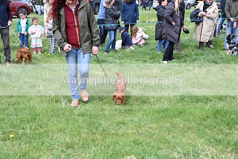 WJ6_8328 - Class 4 Prettiest Bitch