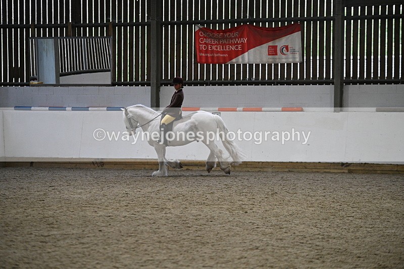 WJ7_3672 - Class 16 Ridden Coloured/ Odd Coloured