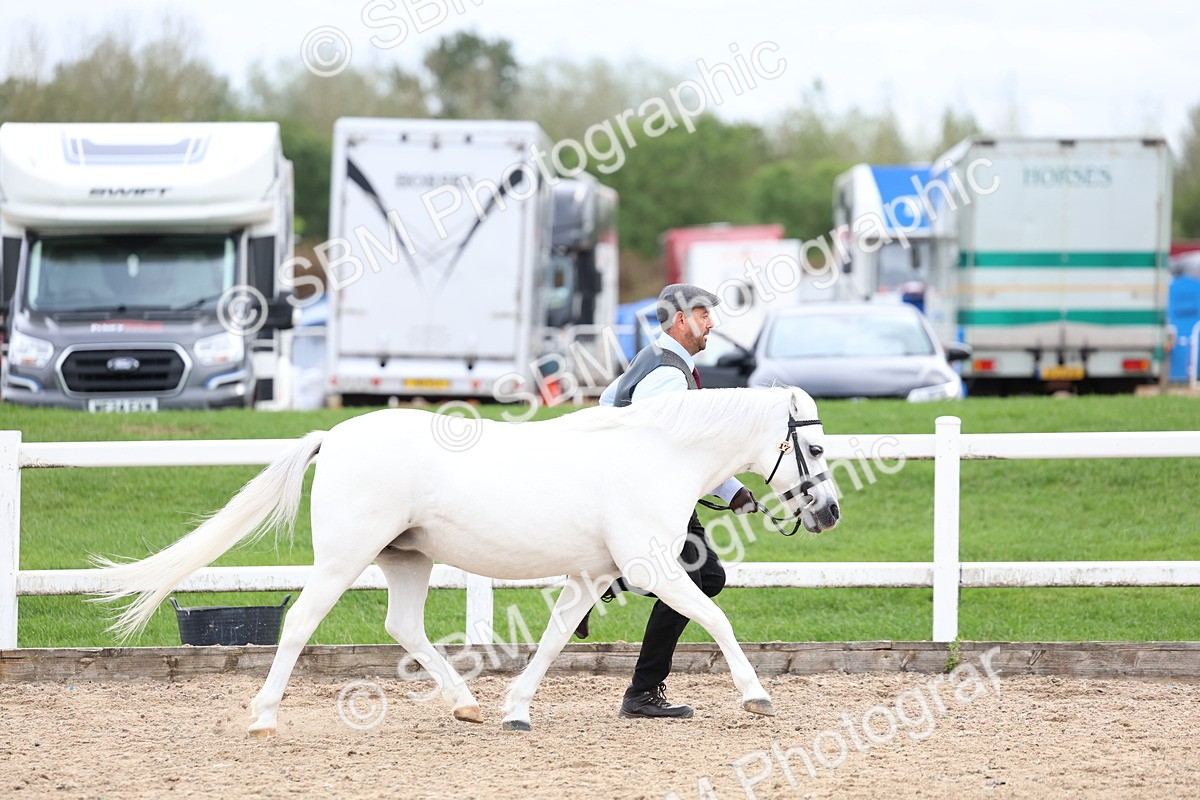 SBM_05856 - Class 29 - IH Veteran Pony