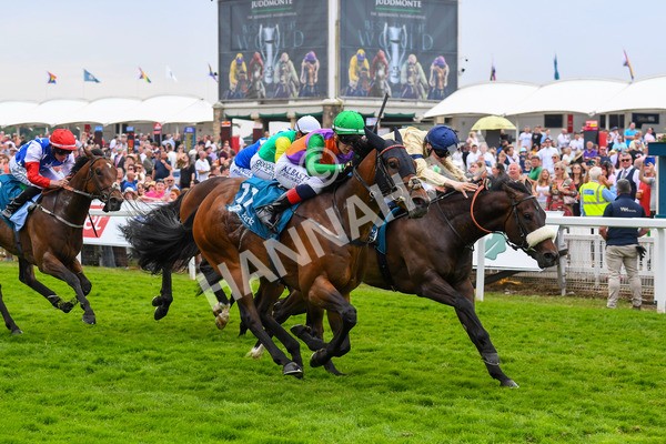 170623-Race 4-Quinault-0637 - Race 4 3.40pm Oakmere Homes Supporting Macmillan Sprint Handicap