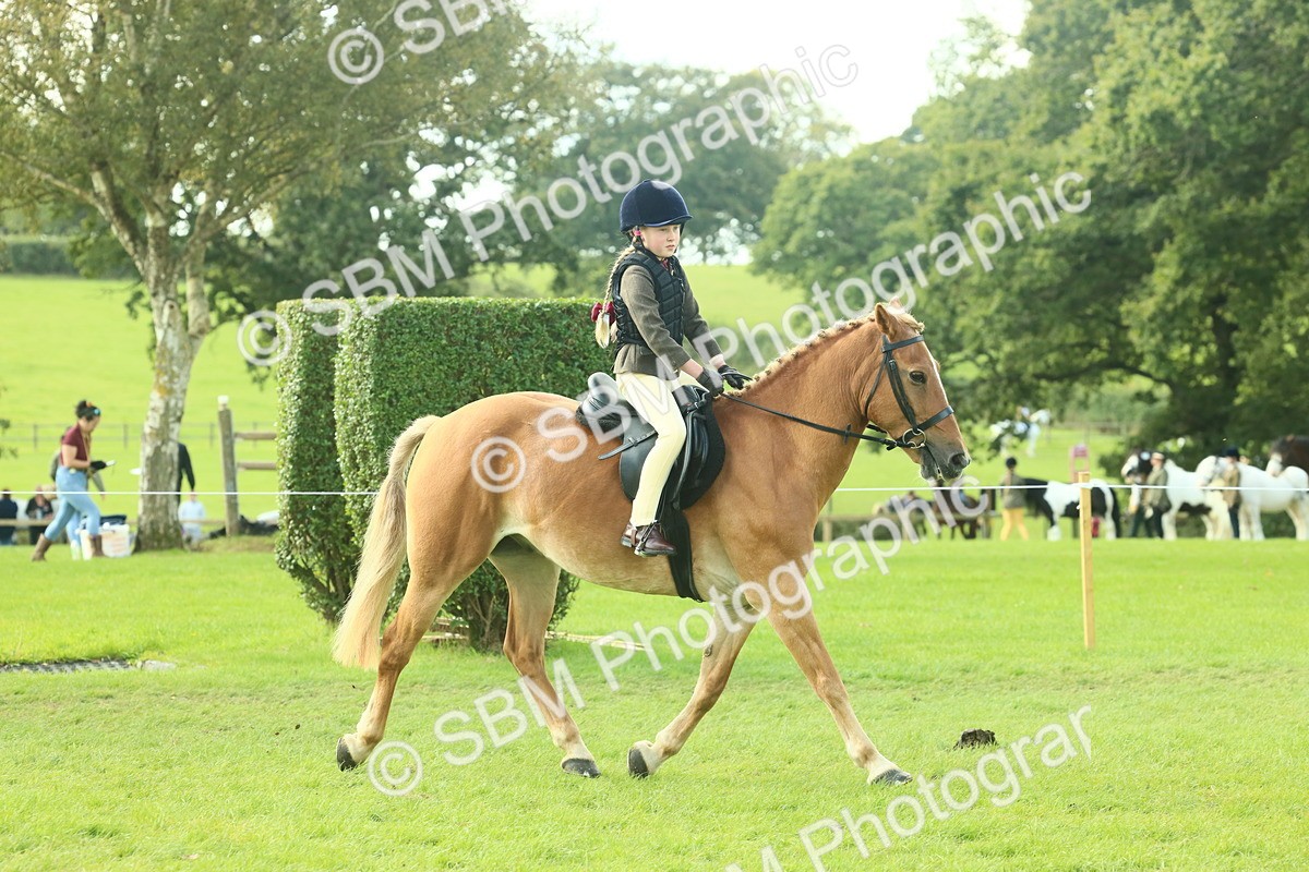 SBM_62420 - S62 - Foreign Breeds Ridden