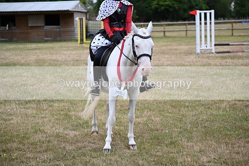 WJ6_4961 - Class 11 Fancy Dress