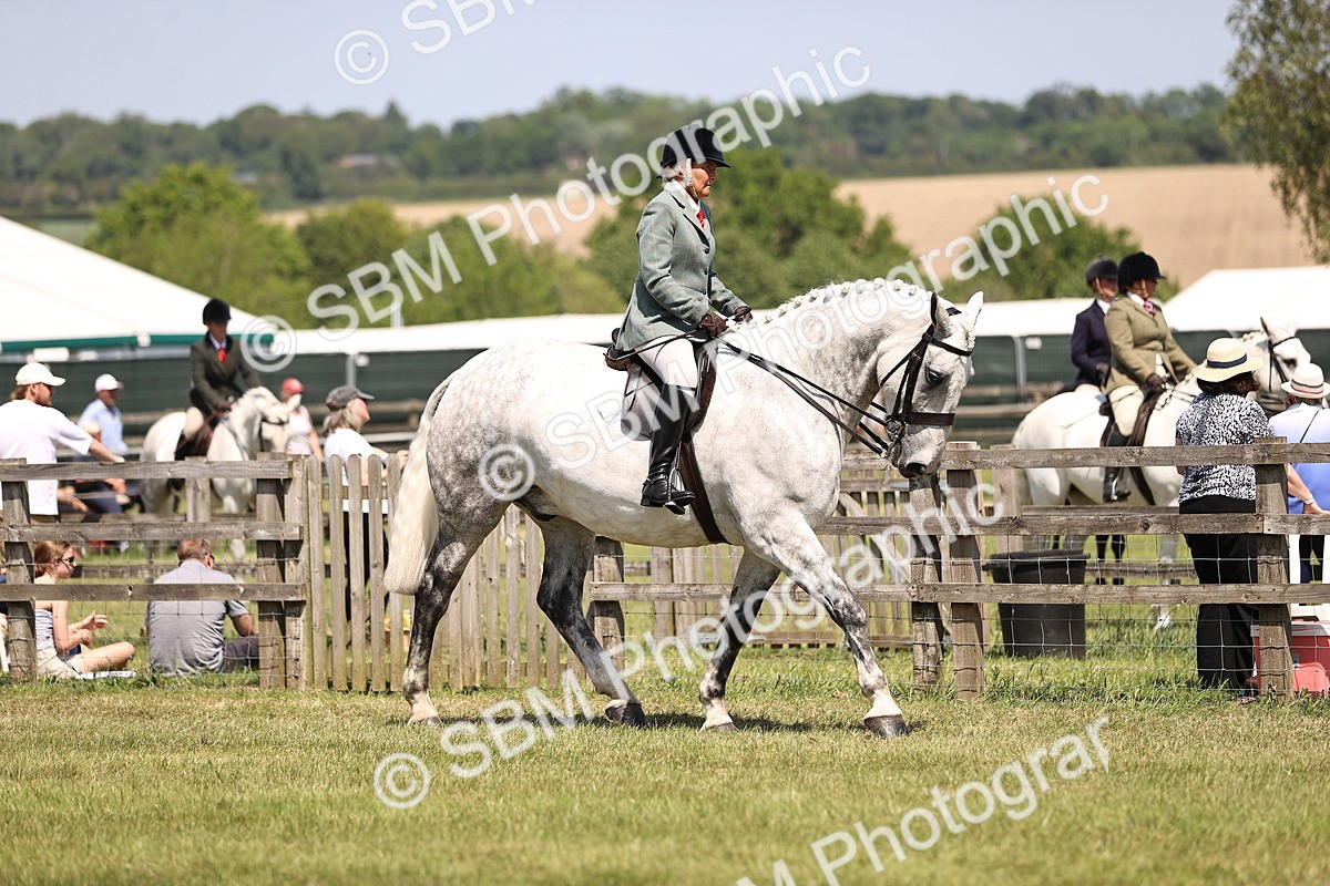 SBM_16089 - Class 79-80 - LIHS BSHA Rising Star Ridden Hunter