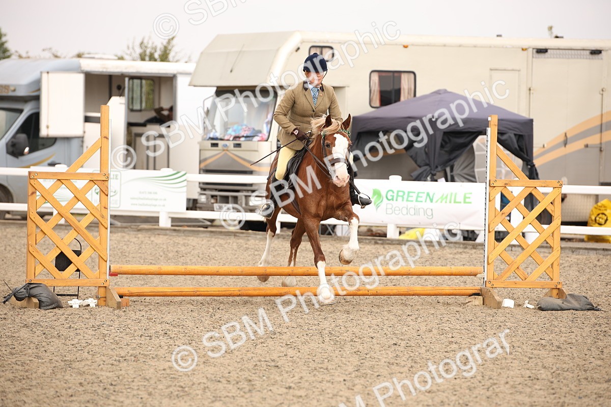 SBM_12597 - Class 405b - M&M Working Veteran 50cm 20+