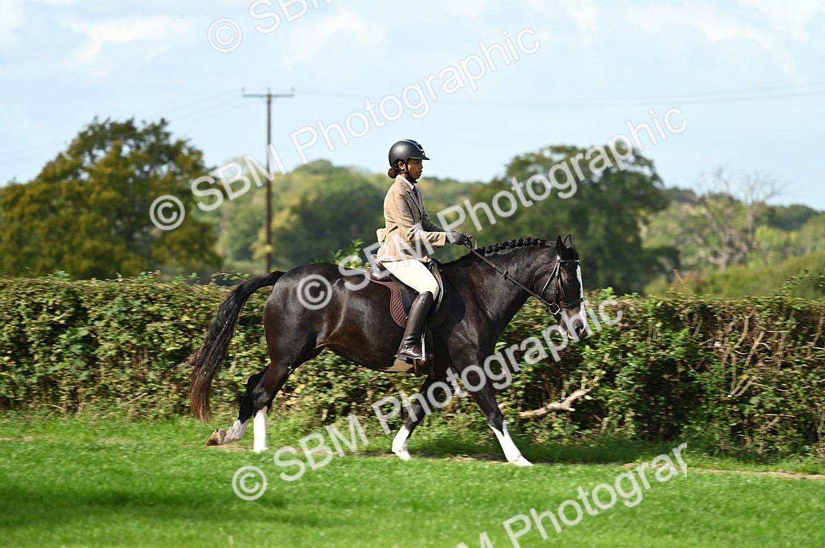 SBM_01941 - S2 - TSR Ridden Horse Showing