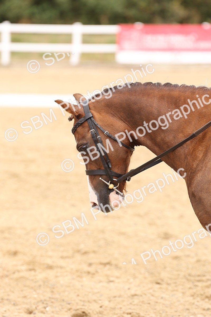 SBM_000944 - Class 2 - Prelim 6 Silver - 11.30-12.45