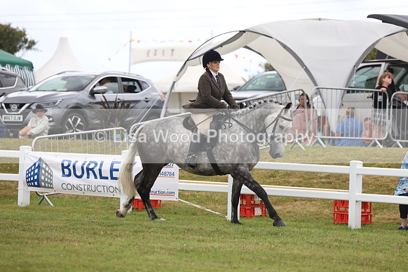 3E7A1436 - Class 9: Open Hunter