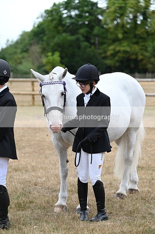 WJ7_9186 - Class 4a Prettiest Mare 14.2hh and over