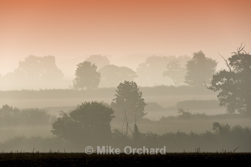 Suffolk in the Mist - Landscapes