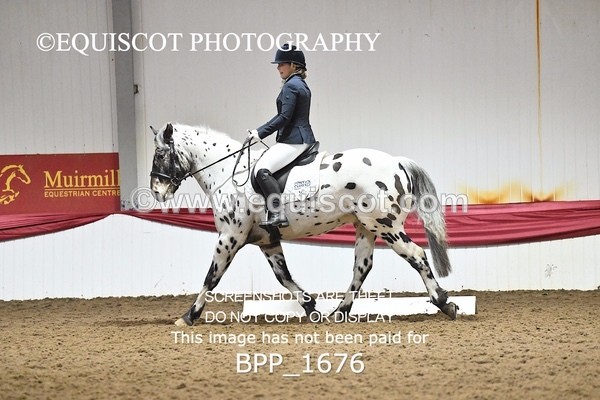 BPP_1676 - PC NOVICE DRESSAGE