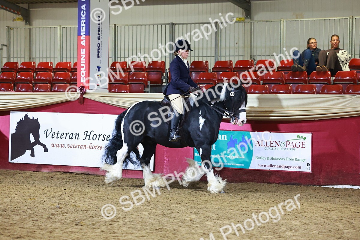 SBM_15393 - Class Q - Ridden Horse Champ