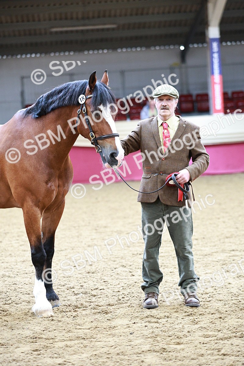 SBM_01308 - Class 3A - Area IH Pre-Vet