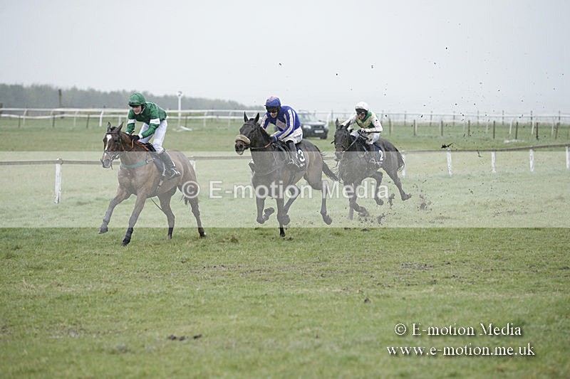 PtP 150320 0166 - New Forest Point-to-Point Larkhill 15/03/20