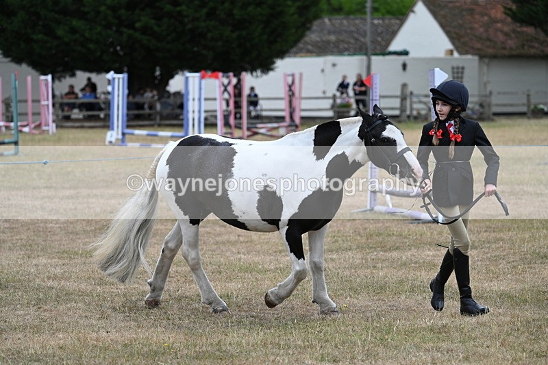 WJ7_8279 - Class 4 Prettiest Mare up to 14.2hh