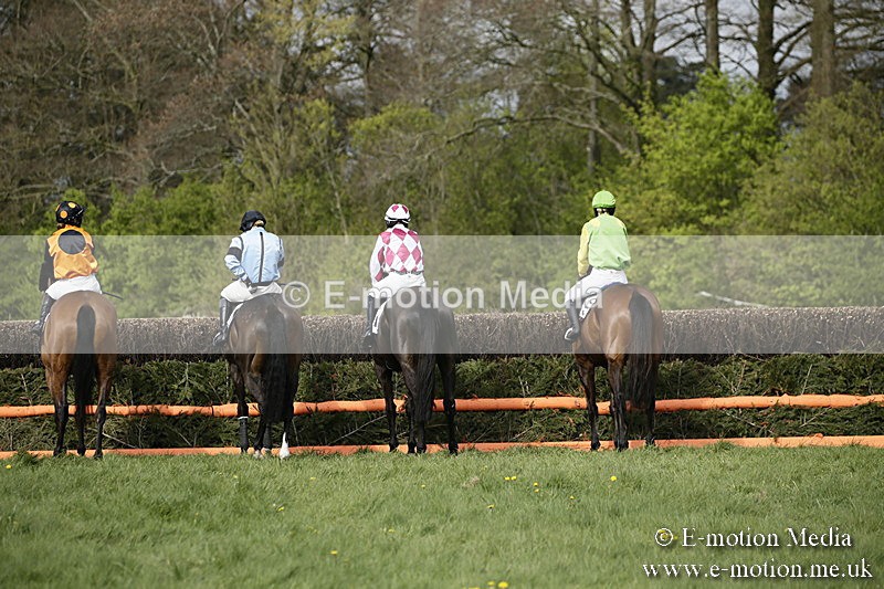 PtP 170417 267 - Old Berks Point-to-Point Lockinge 17/04/17