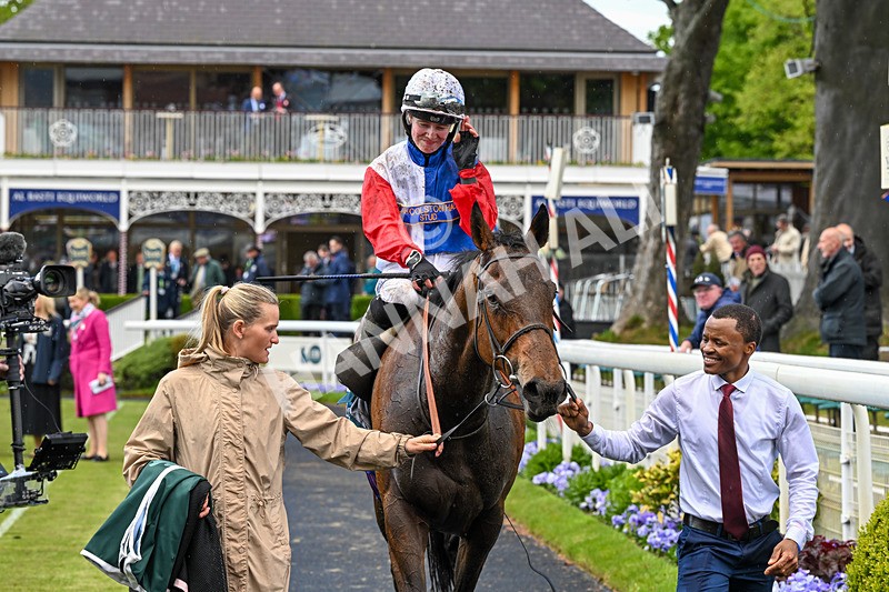 140526-Race 3-Maybe Not-5034 - Race 3 2.55pm Oakmere Homes Hambleton Handicap
