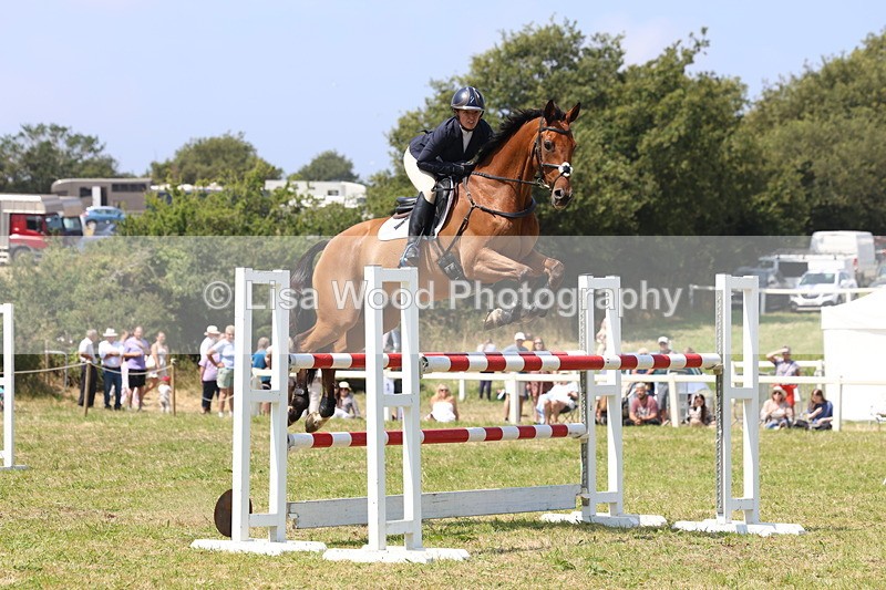 3E7A3337 - Class 10: Senior Foxhunter/1.20 open