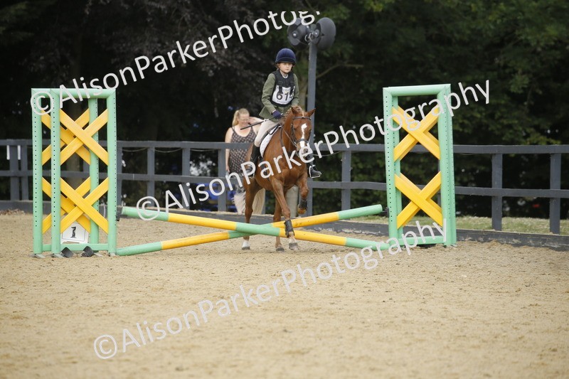 20250622-3748 - 50cm