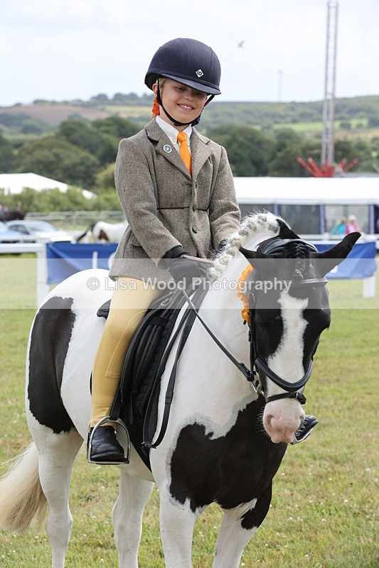 JPP_1989 - Class 18: Tiny Tots Working Hunter Pony