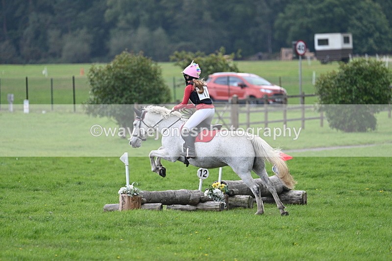 WJ7_3678 - 40cm Time 10:08 to 10:25