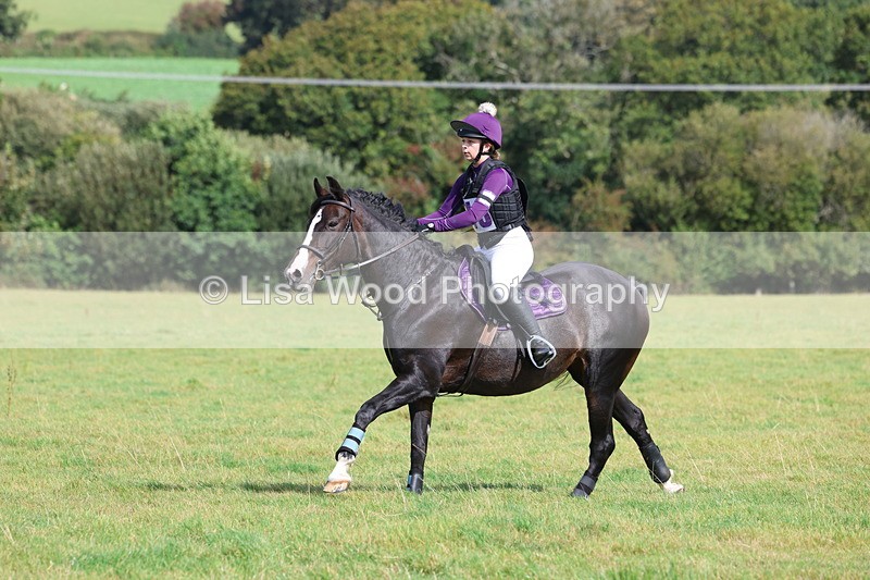 3E7A6557 - Class 1: Trebudannon Open: Pheasant Feeder