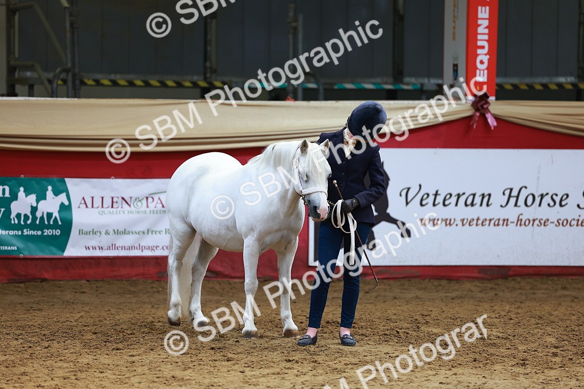SBM_18678 - Class 903 - Sup Final - IH Pre Vet