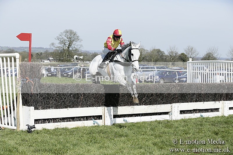PtP 260317 138 - Mendip Farmers Point-to-Point Ston Easton 26/03/17