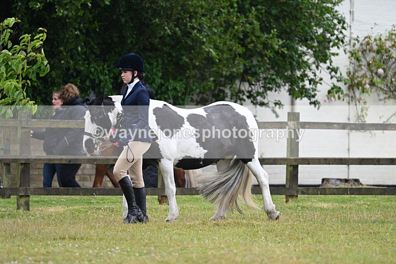 WJ7_5863 - Class 4 Prettiest Mare in Hand