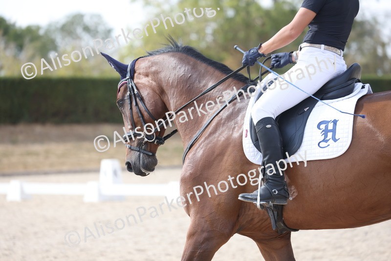 20260815-1114 - Class 6 - Novice 2