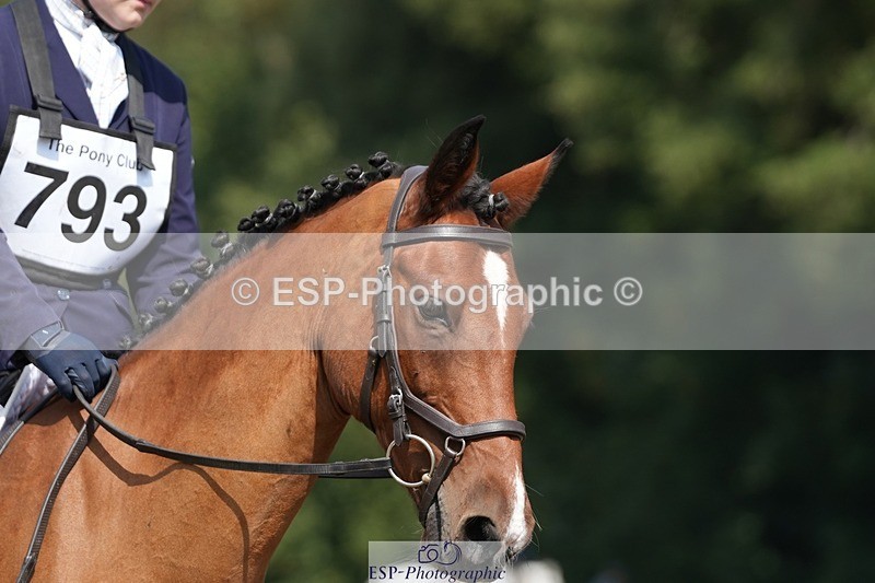 250823A-135504-31090 - Arena B