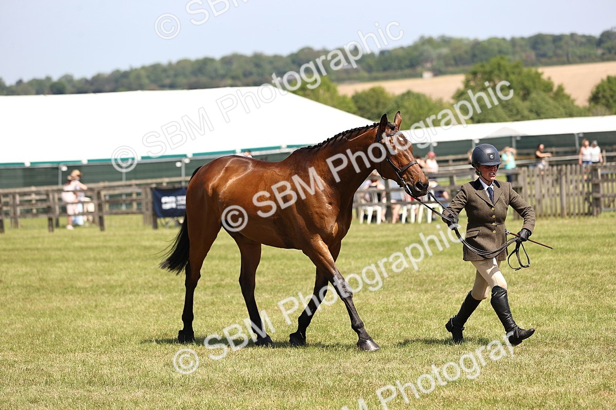 SBM_14977 - Class 78 - LIHS BSHA Open Racehorse & Show Horse