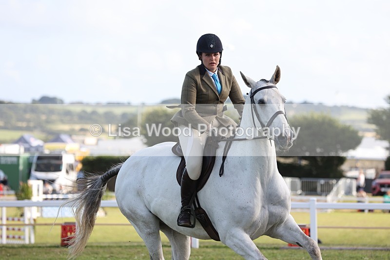 JPP_3484 - Class 22: Working Hunter 90cm