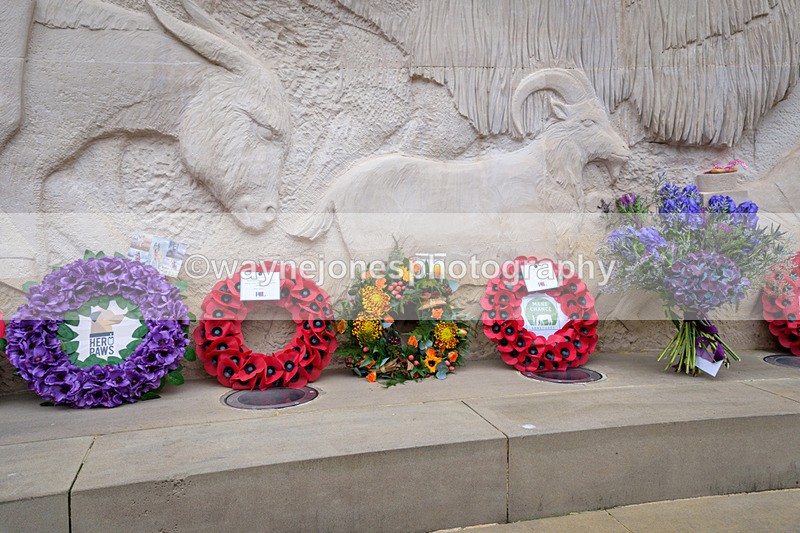 NGP_8336 - 2024 Animals in War Remembrance Gathering