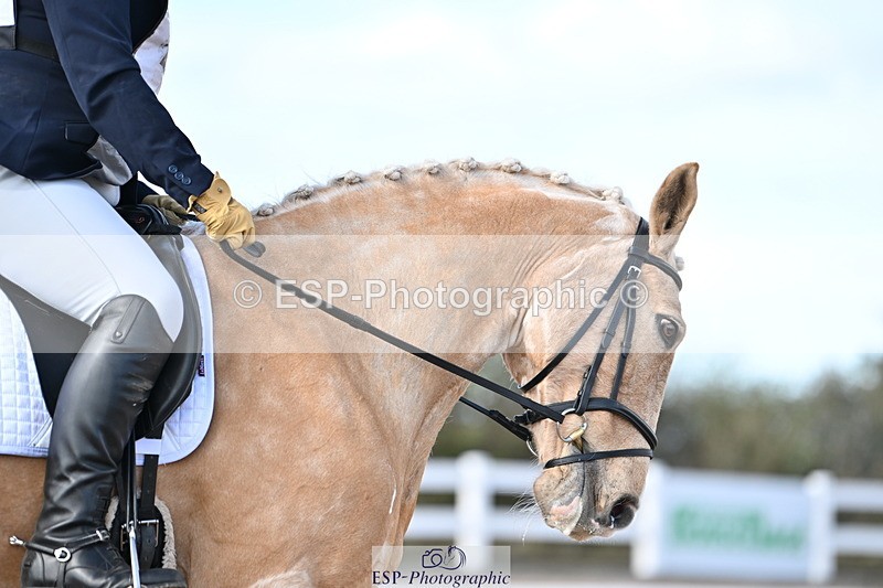 240324A-133934-03458 - Novice 28, 13.00 to 14.00