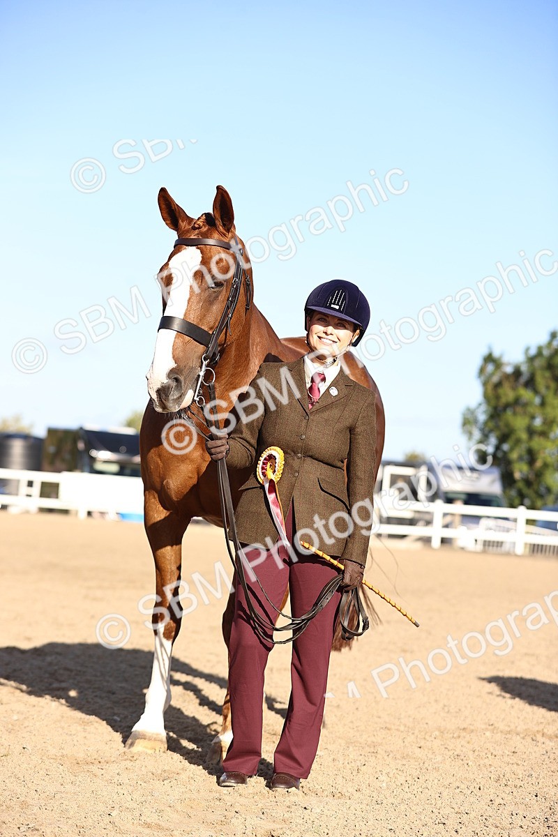 SBM_08386 - Class 401 - IH Veteran Horse
