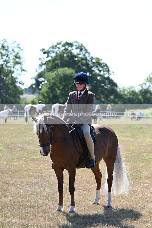 WJ7_3650 - Class 9 Mountain & Moorland Ridden