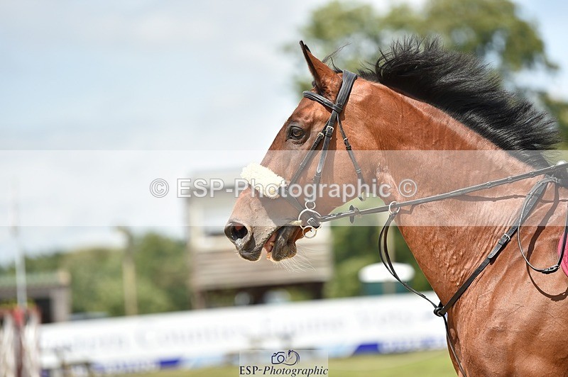 230706-142840-03301 - Cls 6 Newcomers & 1.10m Open