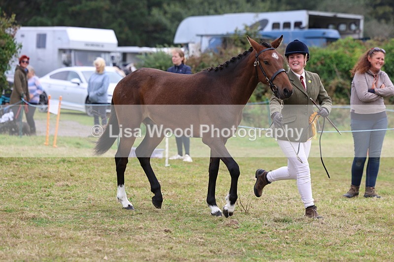 3E7A4295 - Class 15: Two Year Olds