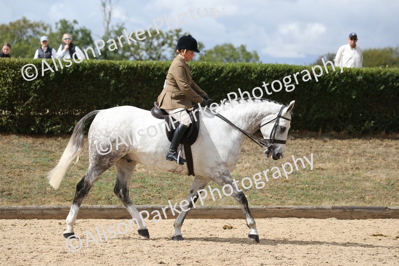 20260831-2705 - Class 16 and 17- Ridden Cob and Hunters