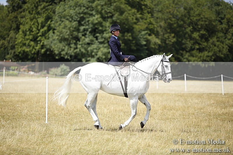 _C7A0219 - Side Saddle Classes BVRC Show 2018