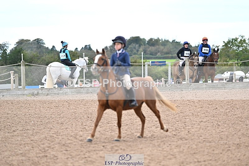 241012A-101913-00186 - 70cm