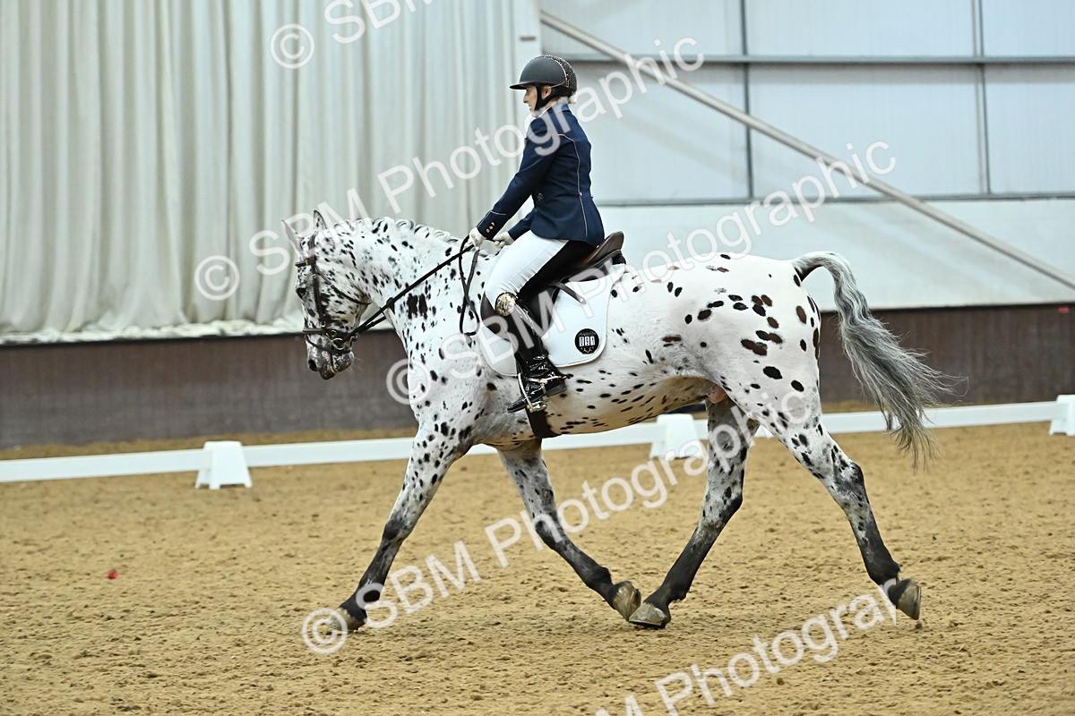 SBM_007511 - Class 81 - Novice 3