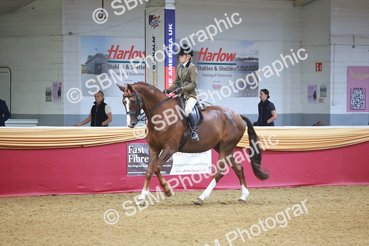 SBM_10656 - Class 103 - HOYS Veteran Qualifier - Ridden Pre Vet