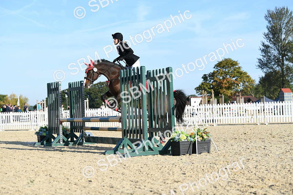SBM_58297 - J24 - Junior Horse 75cm Championship