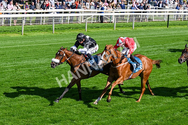 120626-Race 6-Rotokura Belle-0357 - Race 6 16.45pm Dawson Williamson Architects Handicap