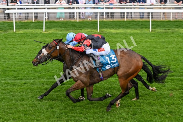 150524-Race 5-Diligent Resdev-4445 - Race 5 4.15pm Conundrum HR Consulting Handicap