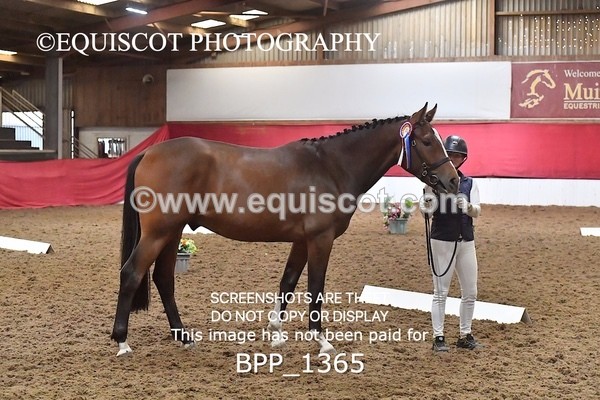 BPP_1365 - MORNING 9AM - 12PM