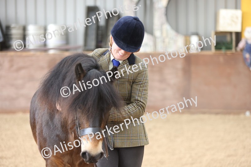 20251109-0667 - Class 22 - Geldings 4 Years and over