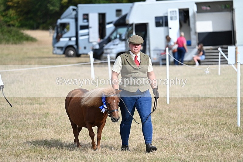 WJ7_8011 - In-hand Championship